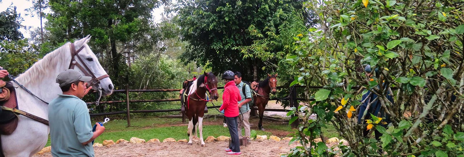 Mountain Cave Horse Back Riding