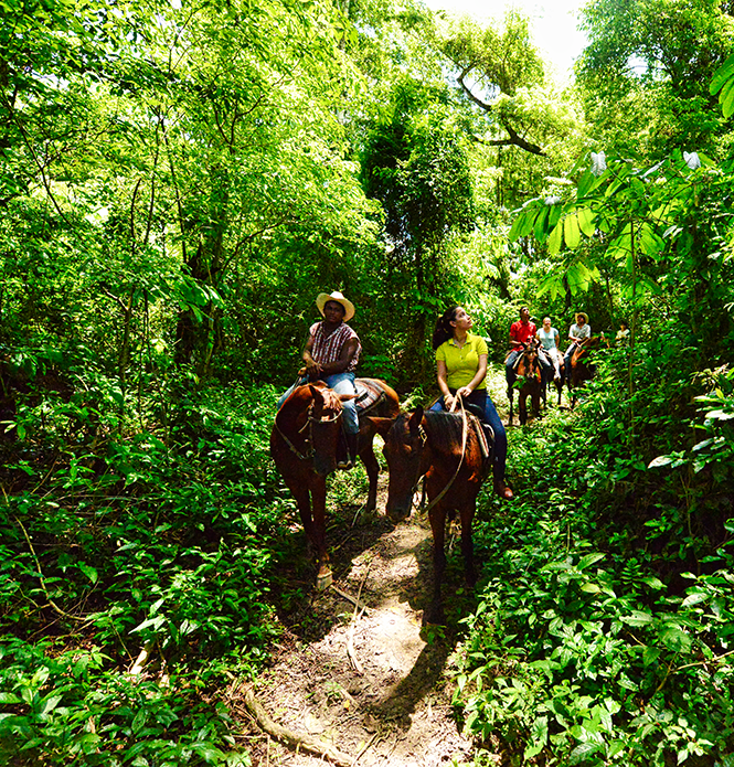 Horseback Riding Belize
