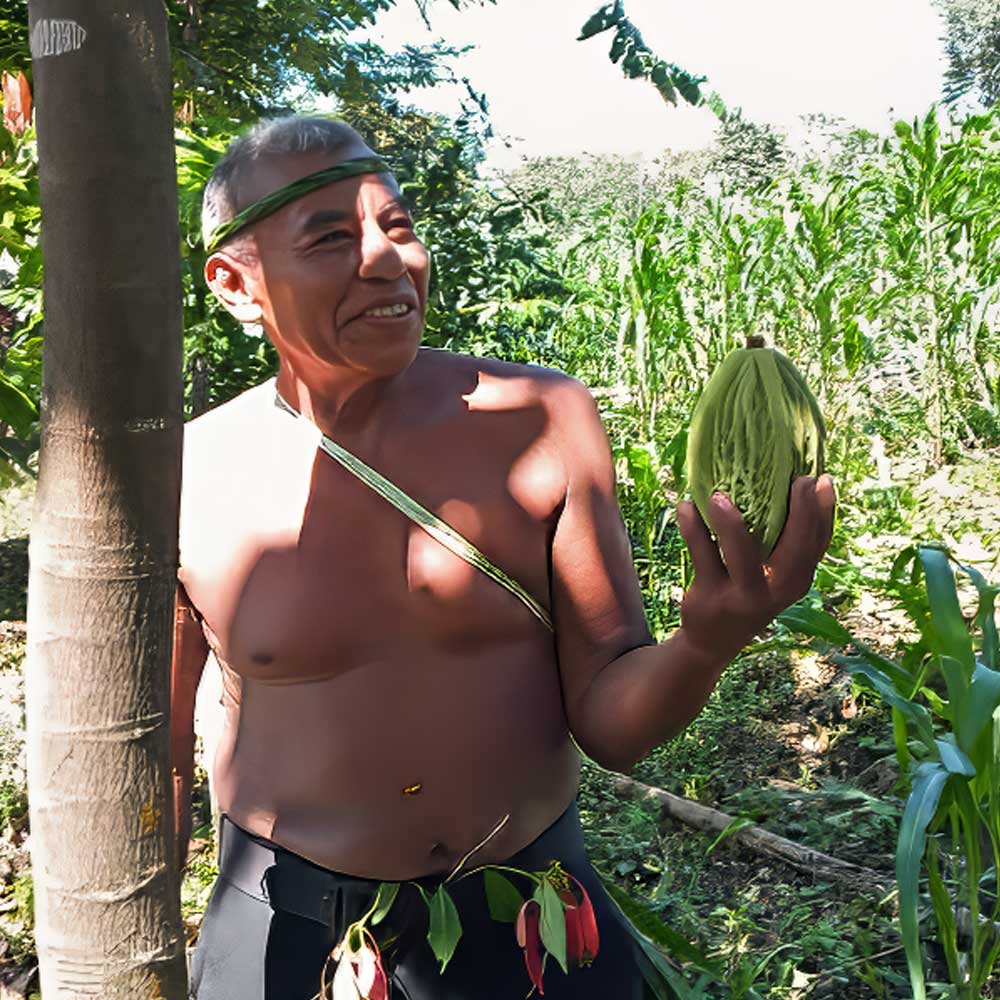 Belize-Cacao-Farmer - Authentic Travel Belize Cacao farmer during a cultural experience in Belize