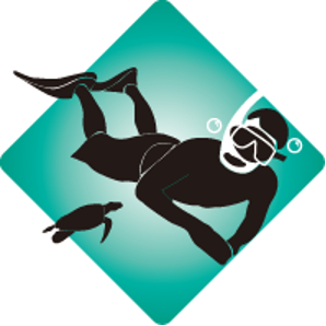 Diving vacation packages in Belize