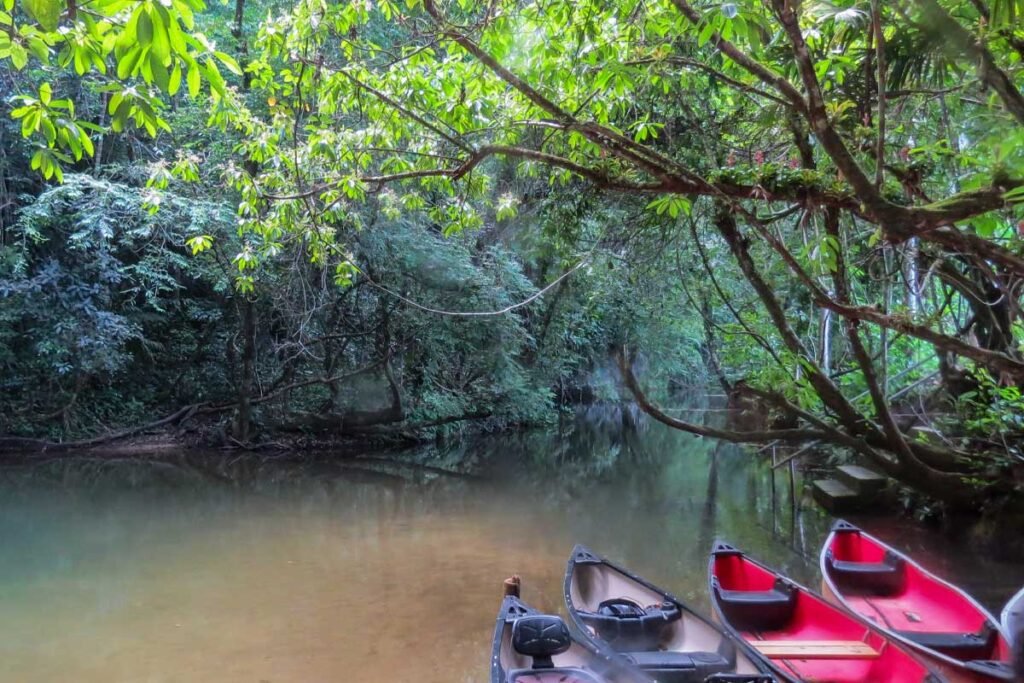canoes by the serene waters of Barton Creek Cave, embarking on the Barton Creek Tour.
