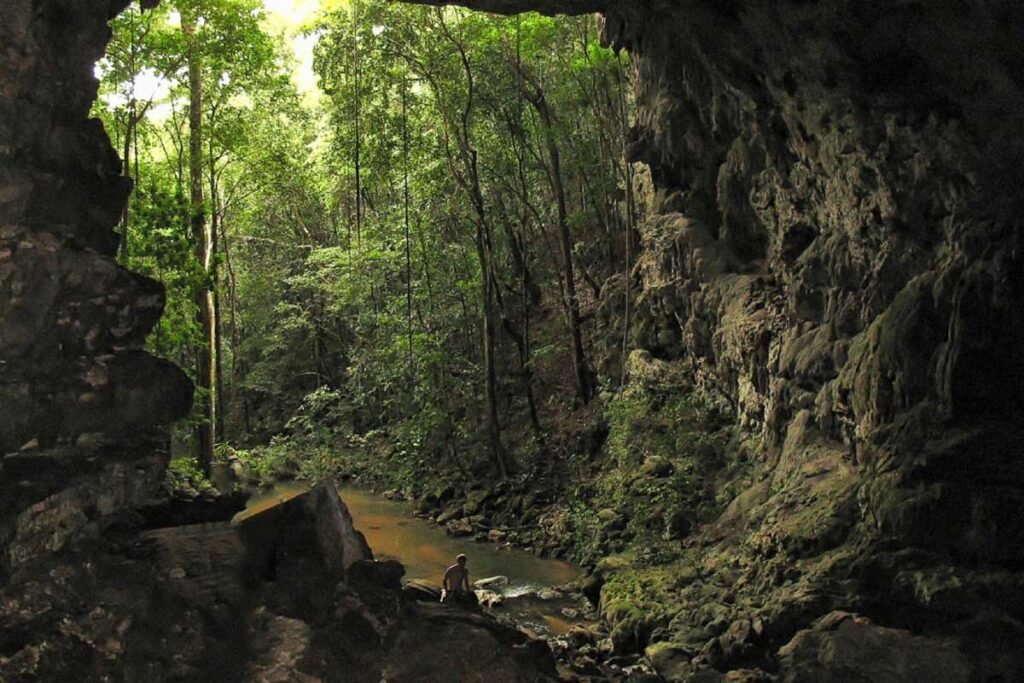 Inside the illuminated chamber of Barton Creek Cave, showcasing dramatic rock formations during the Barton Creek Canoe Tour.