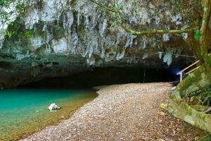 Scenic jungle landscape at the entrance of Mountain Cow Cave, showcasing lush greenery and limestone formations along the adventurous Crystal Cave expedition in Belize.
