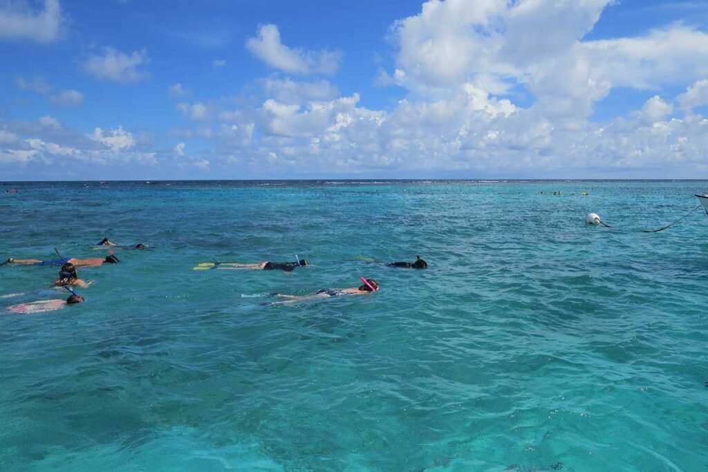 Group of tourists snorkeling above vibrant coral reefs in Hol Chan, part of the Hol Chan and Shark Alley Tour in Belize.