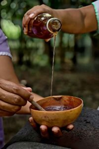 Maya chocolate tour Belize — hand pouring honey into a squash gourd vessel holding chocolate.