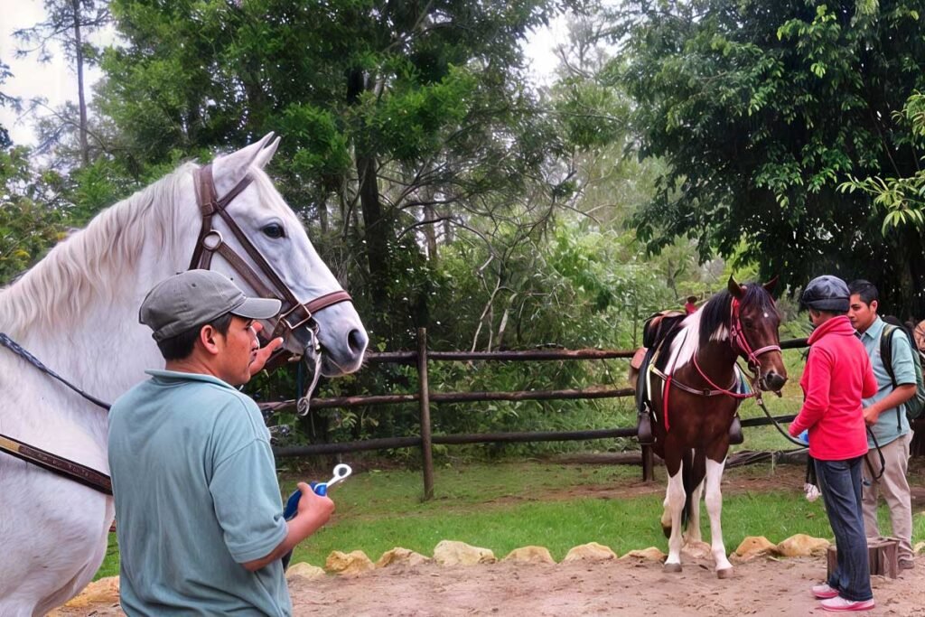 adventurers exploring the jungle on horseback during a San Ignacio Horseback Riding Cave Tour in Belize.