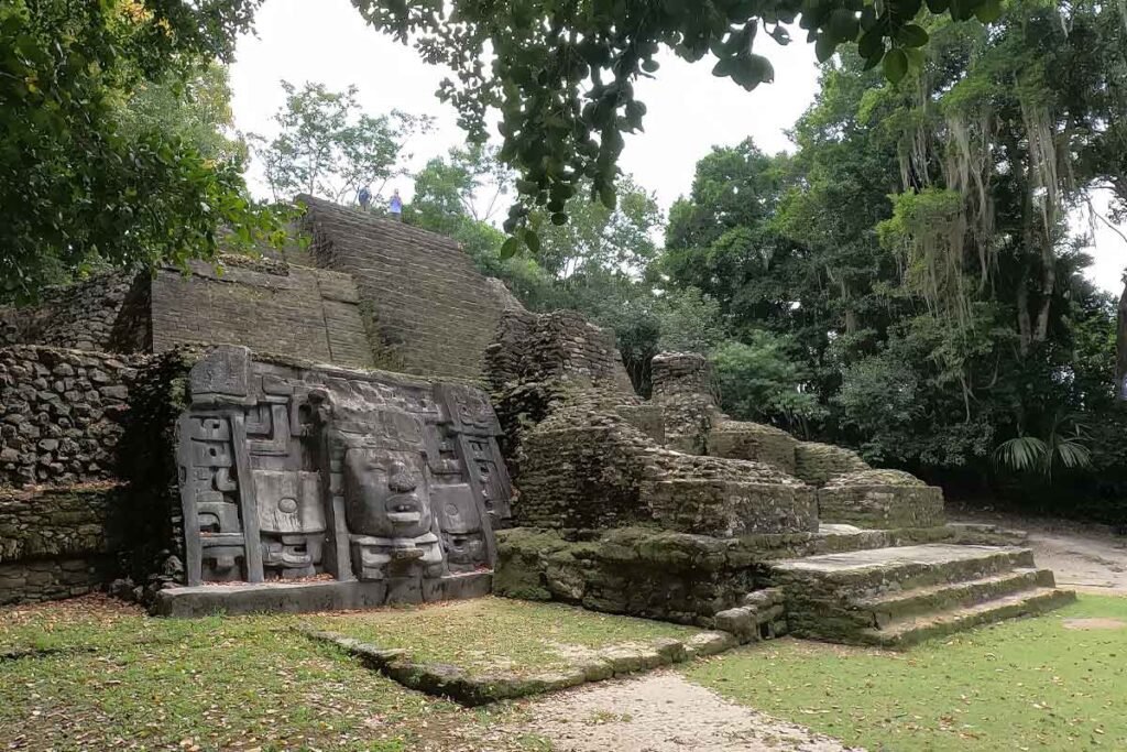 anoramic view of the Lamanai Mayan Ruins surrounded by dense rainforest during the Lamanai Mayan Ruins Day Tour Belize.