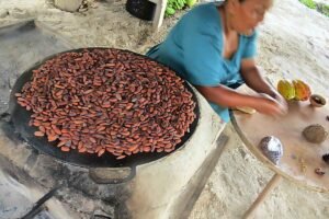 Traditional Maya Chocolate Making Tour San Ignacio Belize — cacao bean roasting on a Maya comal with a local woman in the background.