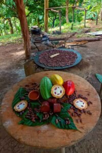 Traditional Maya Chocolate Making Tour San Ignacio Belize — colorful cacao pods, cacao leaves, and roasted cocoa seeds close-up.