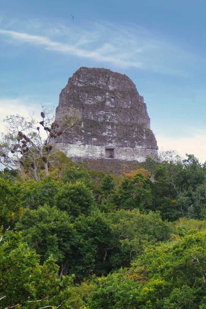 View of Temple IV at Tikal in Guatemala, a highlight of a Belize Tikal Mayan Ruins excursion.