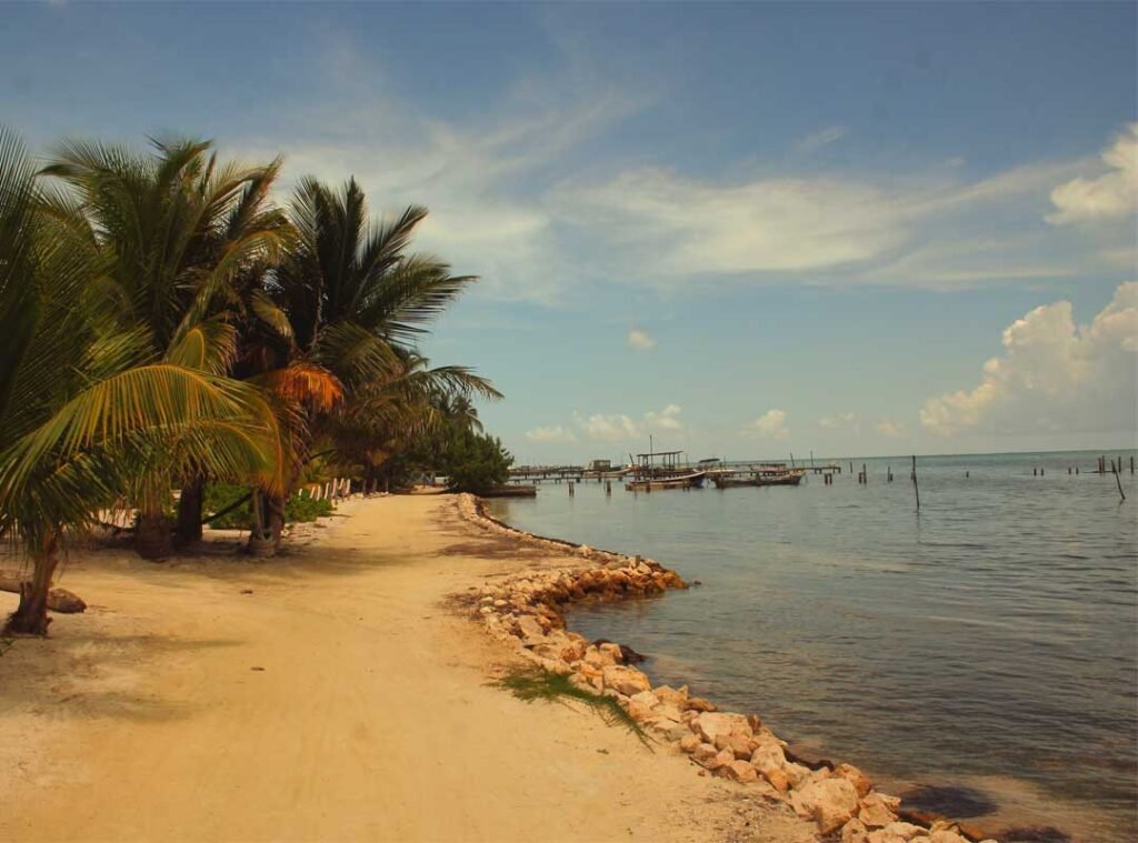 Quiet coastal lane on a laid-back Belizean caye, lined with palm trees and bicycles under the tropical sun.