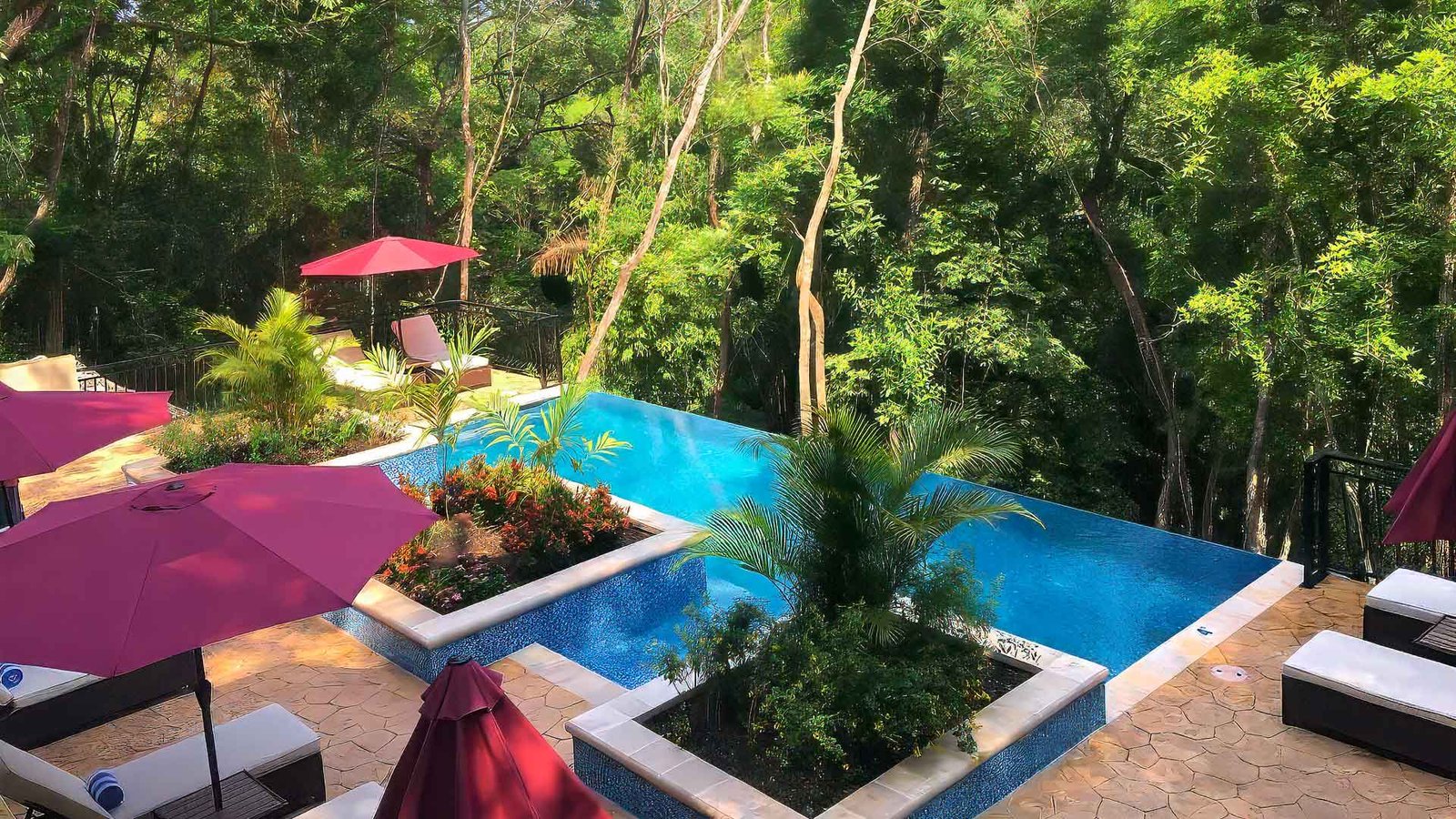 View from a jungle lodge swimming pool in San Ignacio, Cayo District, showcasing why Belize is safe for tourists seeking relaxation in nature.