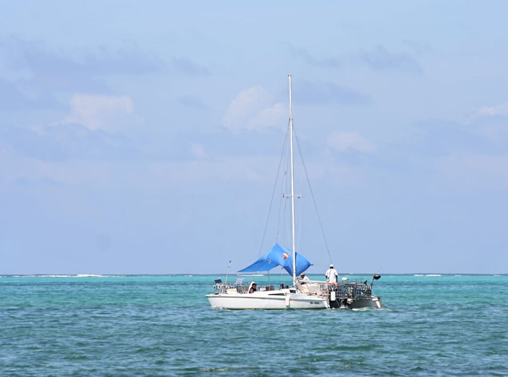 Catamaran sailing near Caye Caulker Island, Belize, with turquoise Caribbean waters and clear skies in the background.