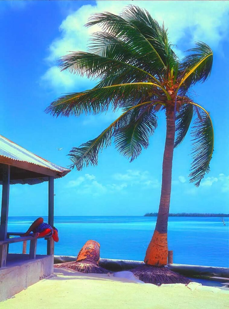 Local islander relaxing on a bench at the channel in Caye Caulker, Belize, with turquoise waters and laid-back