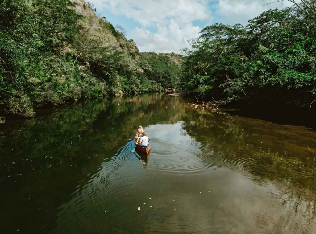 Family canoeing on the Macal River in Cayo District Belize near San Ignacio surrounded by lush jungle scenery.