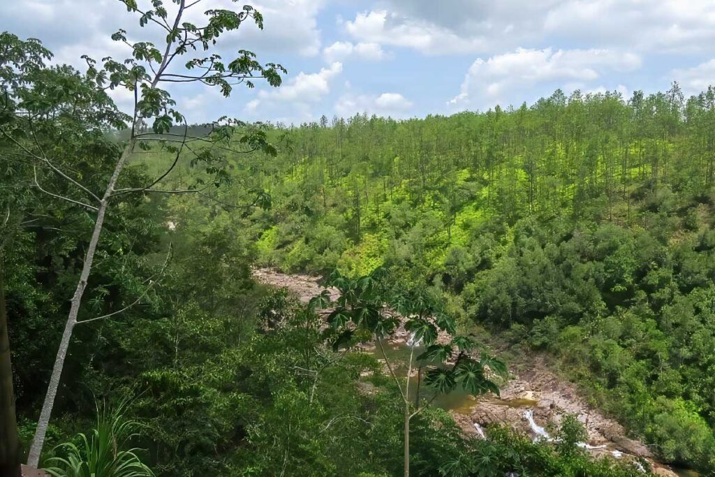 Scenic landscape of Mountain Pine Ridge Belize featuring vast pine forests, rocky river formations, and flowing freshwater surrounded by rugged wilderness.