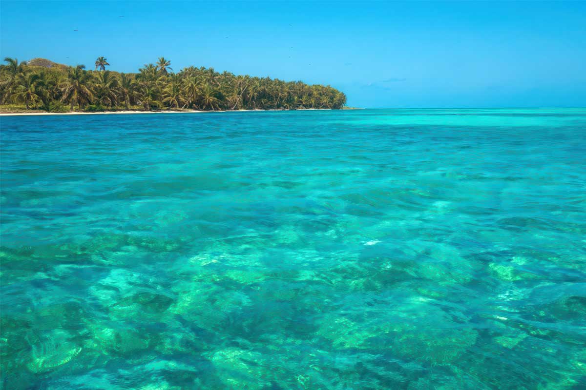 View of Turneffe Atoll snorkeling trips featuring tropical island vegetation and turquoise Caribbean waters