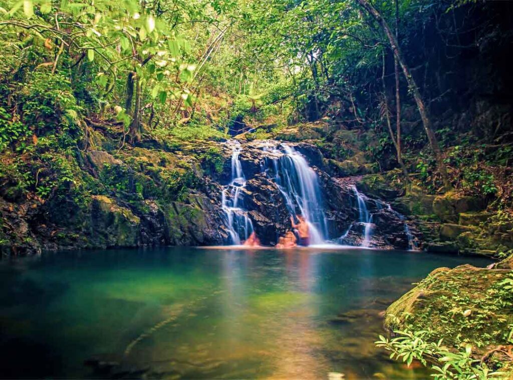 Small jungle waterfall and emerald swimming pool surrounded by lush tropical rainforest in Bocawina Reserve near Dangriga Belize.