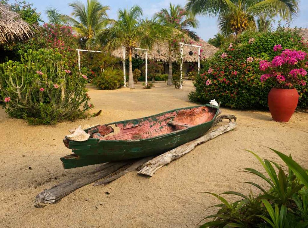 Old green boat resting on sandy beach with driftwood and tropical plants nearby