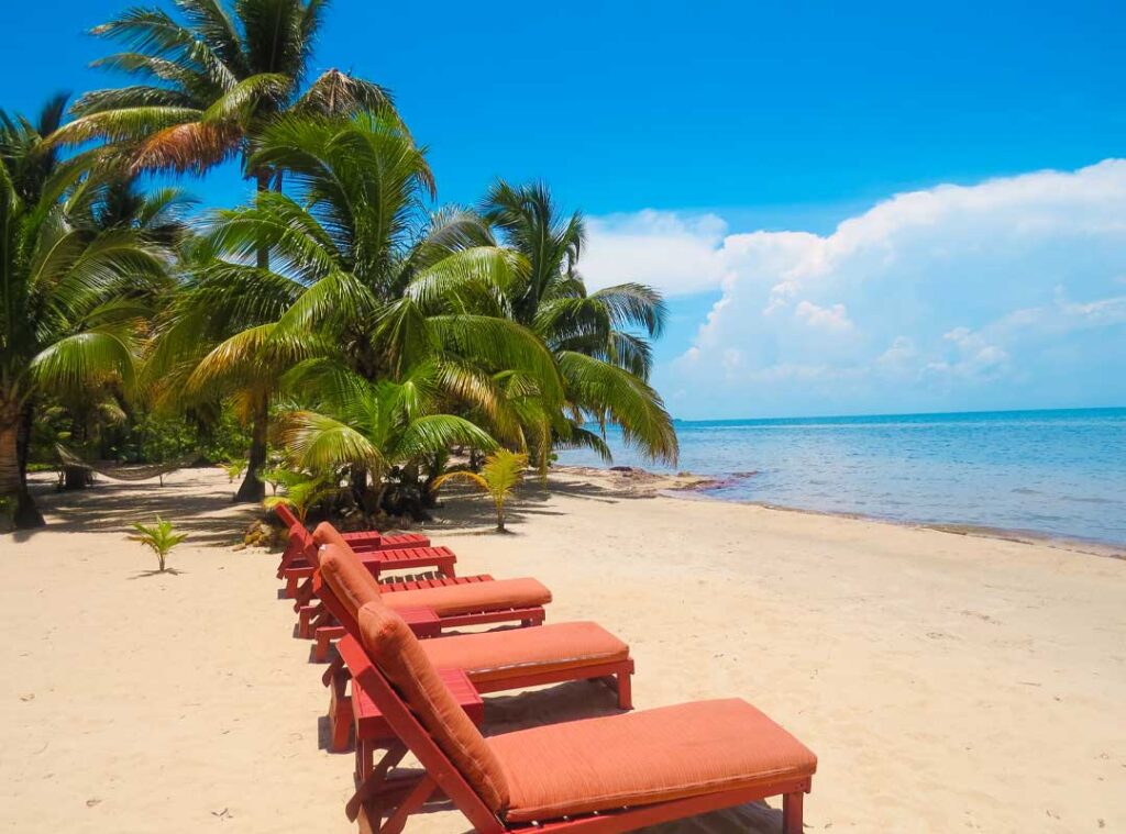 Beachfront chairs lined beneath coconut trees in Placencia Belize overlooking the turquoise Caribbean Sea on a sunny tropical day.