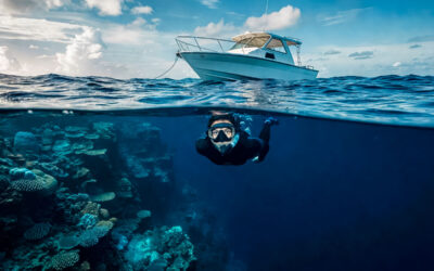 Great Blue Hole, Belize Snorkeling Guide: What To Expect