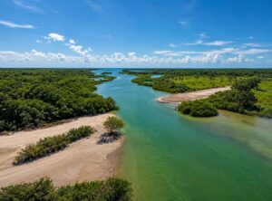 Aerial view of a winding river through lush marshland with sandy banks and a bright blue sky.