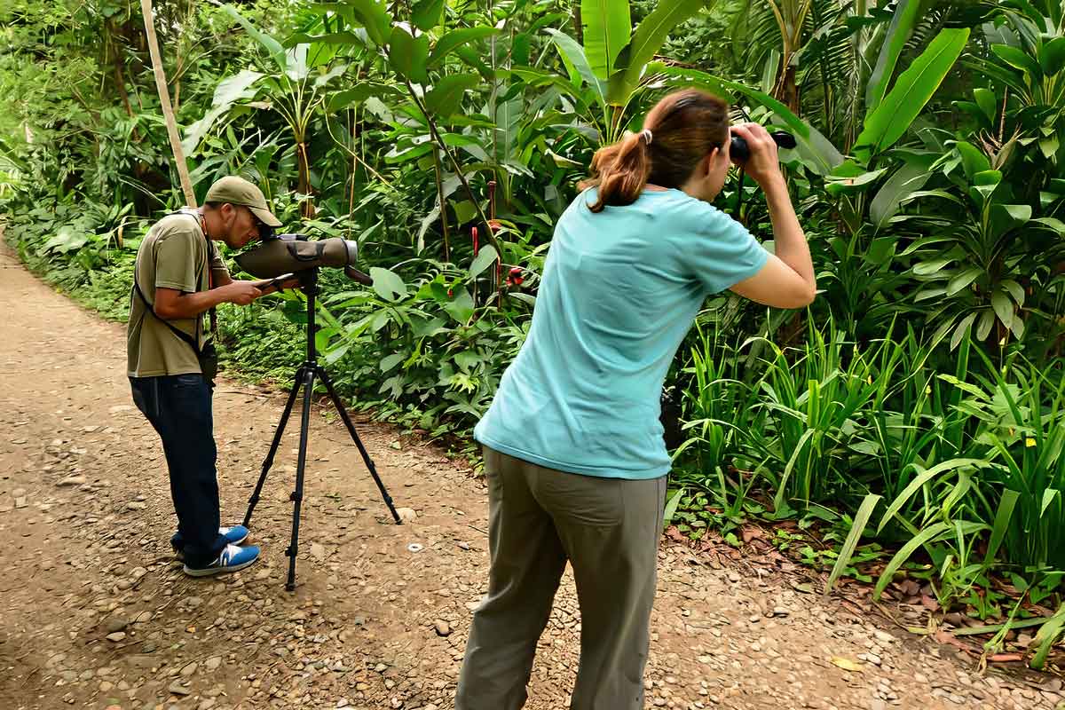 Belize-Birding-Expeditions Travelers birdwatching with binoculars and a spotting scope in the Belize rainforest during a Belize luxury and boutique travel experience.