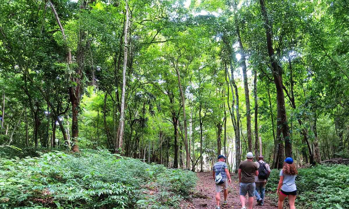 Culture-&-Nature-Family-Journey Belize Family Vacations with parents and children hiking under the tropical forest canopy, exploring Belize nature with a local guide at a comfortable family pace.