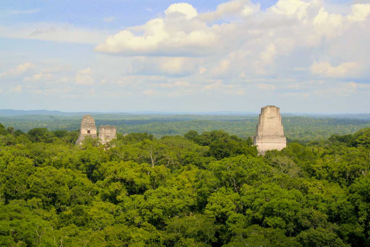 Tikal’s main temples rising above the tropical rainforest canopy, illustrating the heritage and regional depth of Guatemala & Belize Private Journeys.