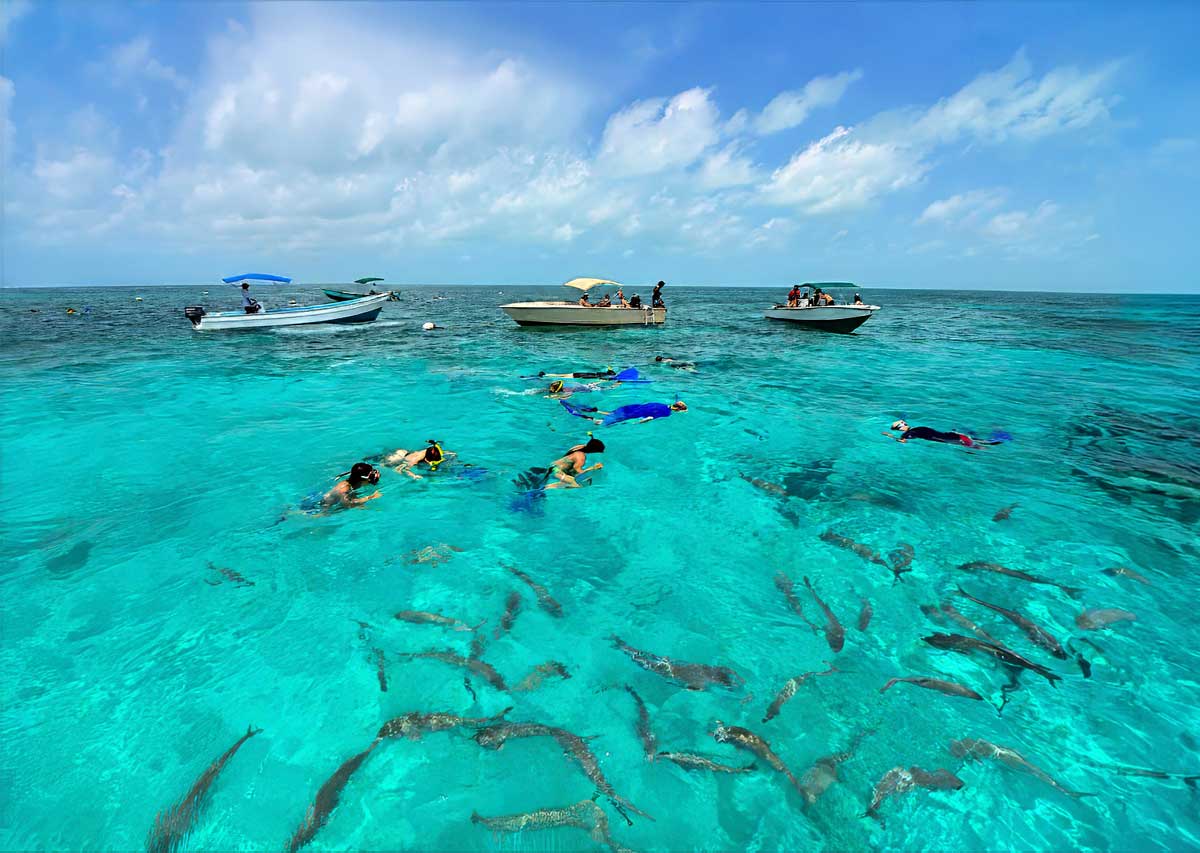 Belize Reef & Snorkeling Vacations: snorkelers swim in clear turquoise water beside small boats, with tropical fish visible below and a bright blue sky overhead.