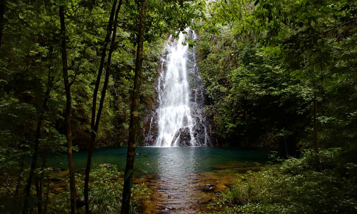 San-Ignacio-Jungle Waterfall in the jungle near San Ignacio, one of the best things to do in San Ignacio for nature and soft adventure travelers