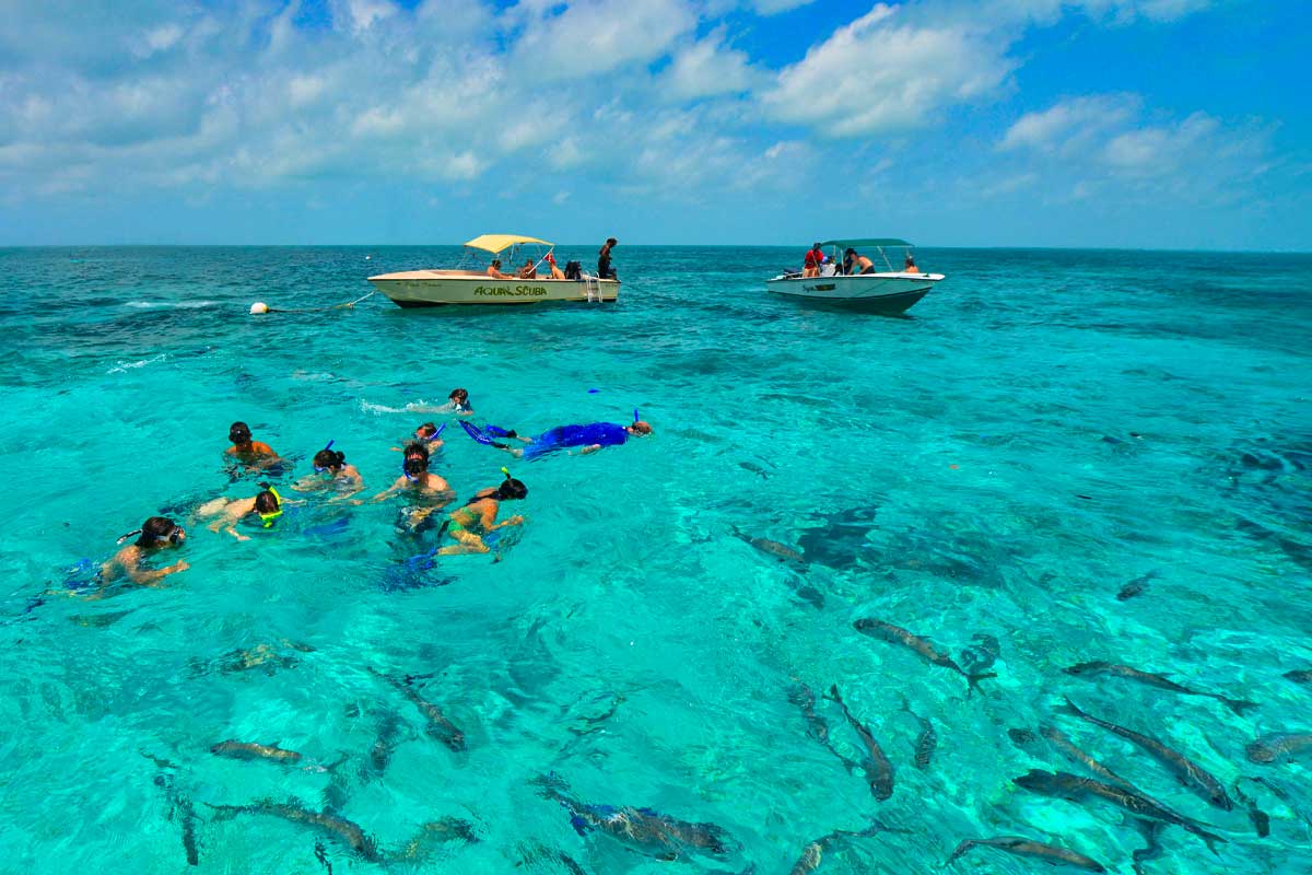 Groups enjoying snorkeling in Hol Chan Marine Park inside the Belize Barrier Reef, with two boats anchored nearby, showcasing Belize snorkeling and diving experiences.